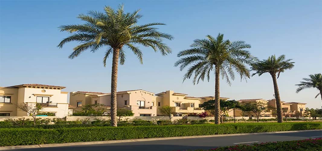 محله الورقه در دبی