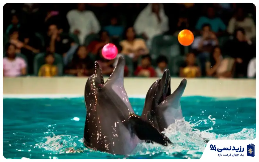 تفریحات دبی در روز تولد