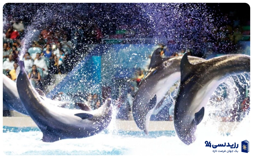 پارک دلفیناریوم دبی