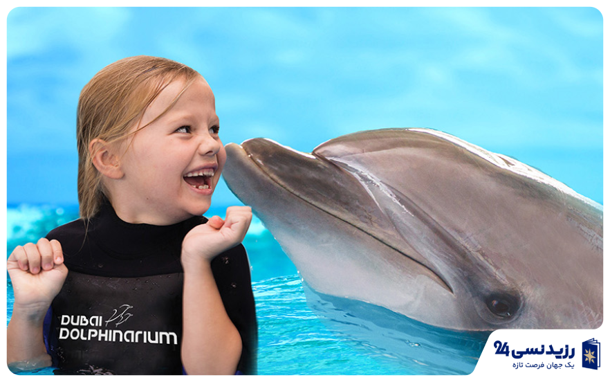 dubai-dolphinarium- swimming with dolphins