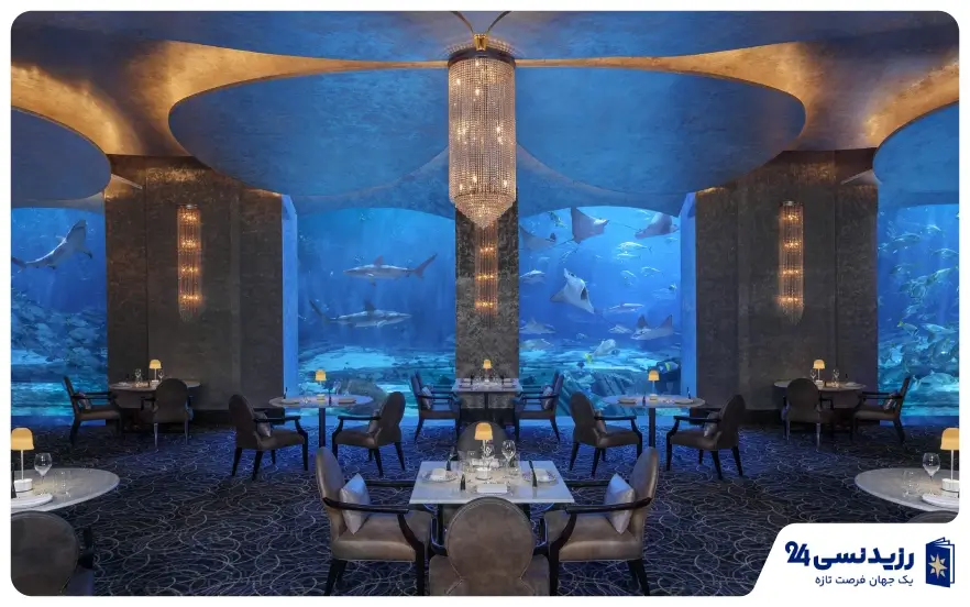 رستوران لاکچری دریایی Ossiano؛ تجربه صرف غذا در کنار مشاهده آکواریوم