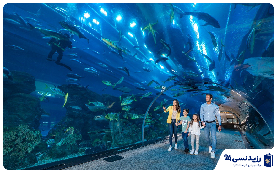 dubai aquarium tunnel